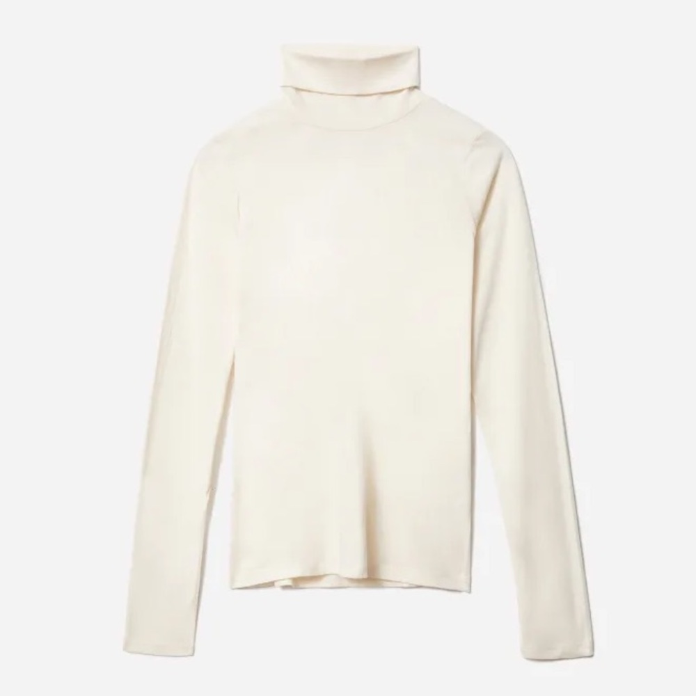 Everlane Organic Cotton Turtleneck